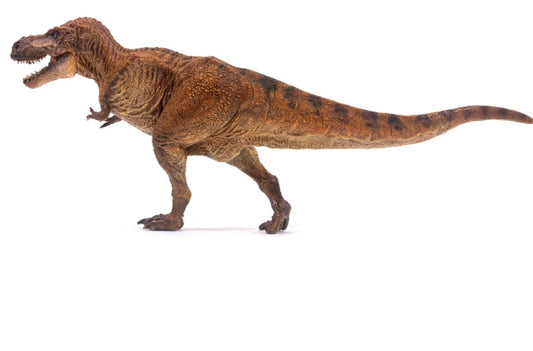 PNSO 成長シリーズ ティラノサウルス・レックス ウィルソン Ｔ-REX Tレックス 恐竜 フィギュア PVC プラモデル 37cm級
