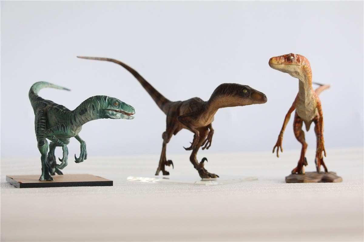 DINO DREAM 1/15 サイズ ヴェロキラプトル 恐竜 小型 肉食 リアル フィギュア PVC プラモデル 大人のおもちゃ 模型 プレゼント プレミアム 24cm級 オリジナル スタチュー 塗装済 完成品 置物 3色 台座付き (3点 セット)