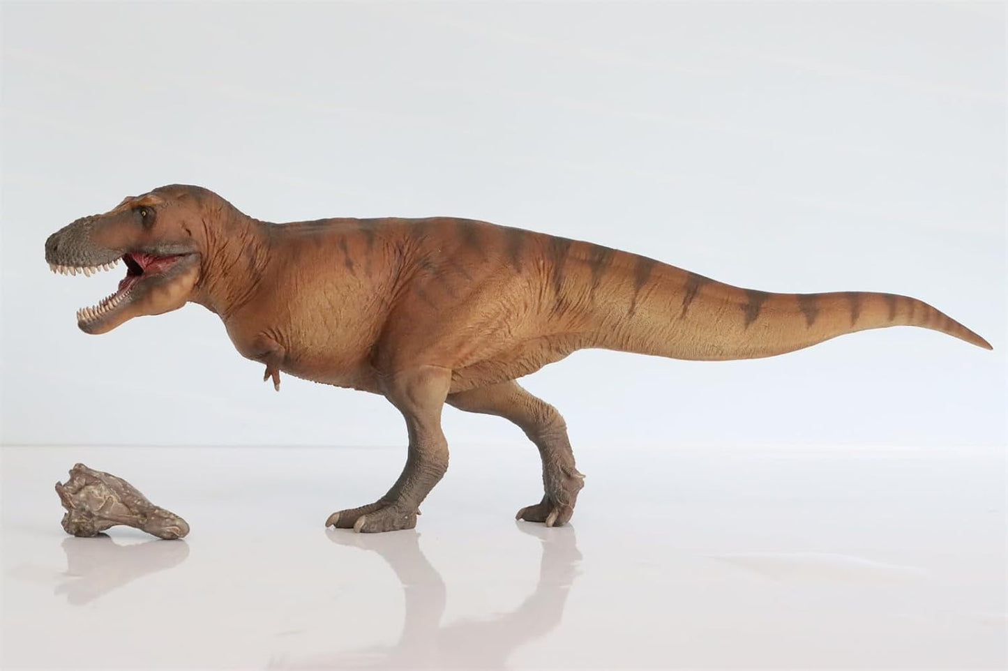 PNSO 恐竜博物館 1/35 サイズ ティラノサウルス T-REX フィギュア 35cm級 頭蓋骨付属 恐竜 PVC おもちゃ 模型