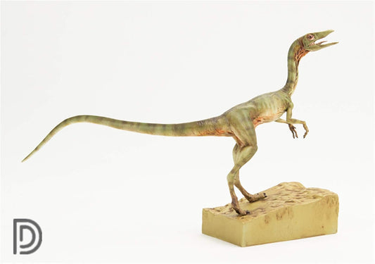 DINO DREAM 1/5 サイズ 雌のコンプソグナトゥス 恐竜 小型 肉食 リアル フィギュア PVC プラモデル おもちゃ 模型 プレゼント プレミアム 15cm級 オリジナル スタチュー 塗装済 完成品 置物 台座付き