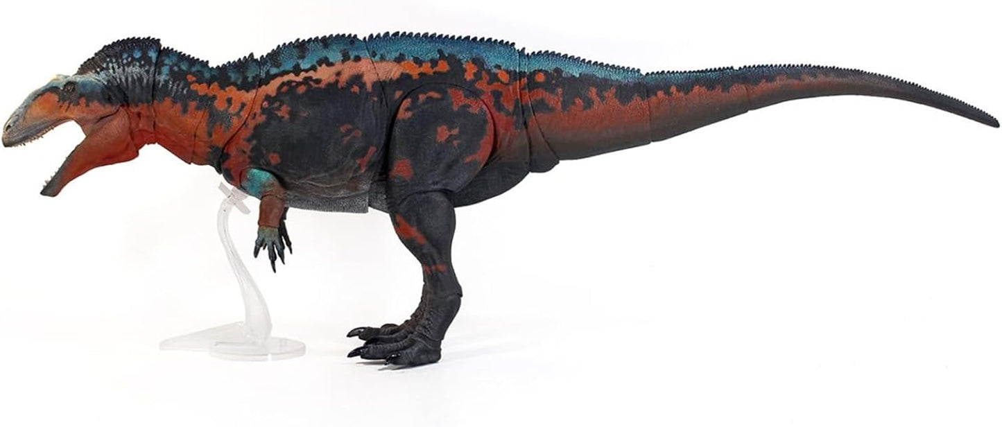Beasts of the Mesozoic/Cenozoic 中生代の獣 1/18 アクロカントサウルス 白亜紀 恐竜 フィギュア 67.3cm級 全身23箇所可動 カルカロドントサウルス科 PVC製 模型 プラモデル おもちゃ 自立 展示 模型 玩具 関節おもちゃ [並行輸入品]