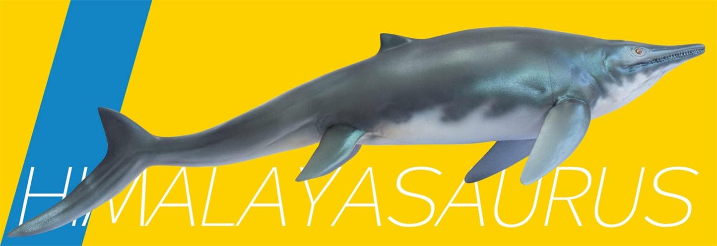 PNSO 成長シリーズ 55 ヒマラヤサウルス 魚竜 恐竜 海洋動物 リアル フィギュア PVC おもちゃ 模型 31cm級