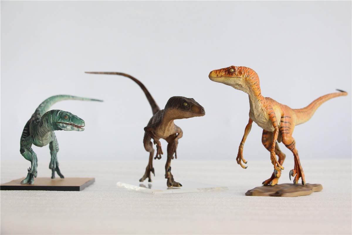 DINO DREAM 1/15 サイズ ヴェロキラプトル 恐竜 小型 肉食 リアル フィギュア PVC プラモデル 大人のおもちゃ 模型 プレゼント プレミアム 24cm級 オリジナル スタチュー 塗装済 完成品 置物 3色 台座付き (3点 セット)