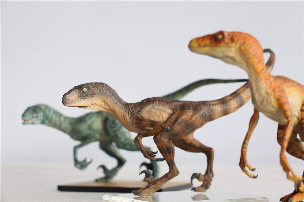 DINO DREAM 1/15 サイズ ヴェロキラプトル 恐竜 小型 肉食 リアル フィギュア PVC プラモデル 大人のおもちゃ 模型 プレゼント プレミアム 24cm級 オリジナル スタチュー 塗装済 完成品 置物 3色 台座付き (3点 セット)