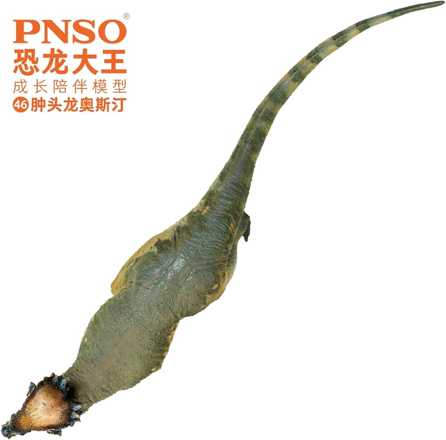 PNSO 成長シリーズ パキケファロサウルス 恐竜 動物 フィギュア プラモデル おもちゃ 模型 PVC 17.8cm級