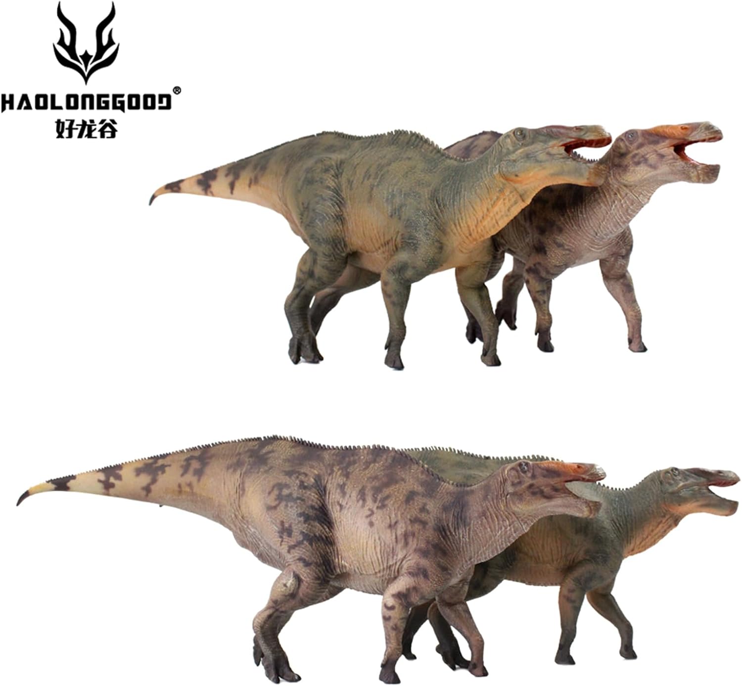 HAOLONGGOOD 1/35 サイズ シャントゥンゴサウルス 39cm級 PVC CE認証