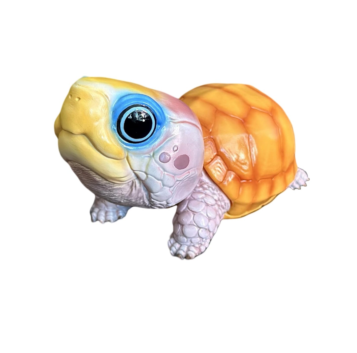 動物惑星 ハコガメ フィギュア カメ 亀 10.5CM級 カメ目 ニシキハコガメ ユカタンハコガメ フロリダハコガメ爬虫類 情景セット 樹脂 可愛い おもちゃ リアル 動物好き オリジナル 模型 (7点セット)