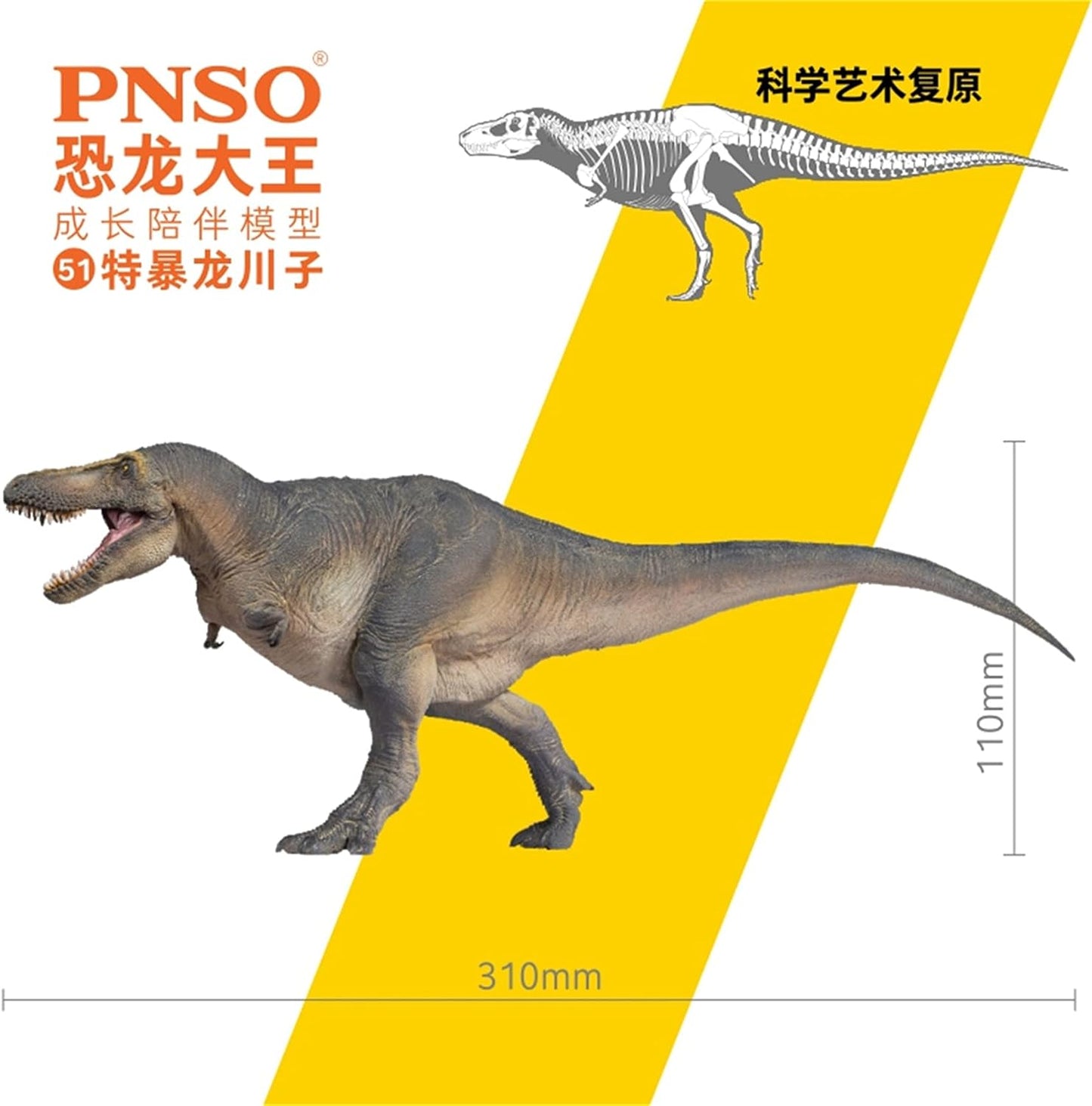 PNSO 成長シリーズ タルボサウルス 恐れさせるトカゲ ティラノサウルス科 肉食 恐竜 動物 リアル フィギュア PVC おもちゃ 科学 芸術 模型 恐竜好き 誕生日 プレゼント塗装済 31cm級