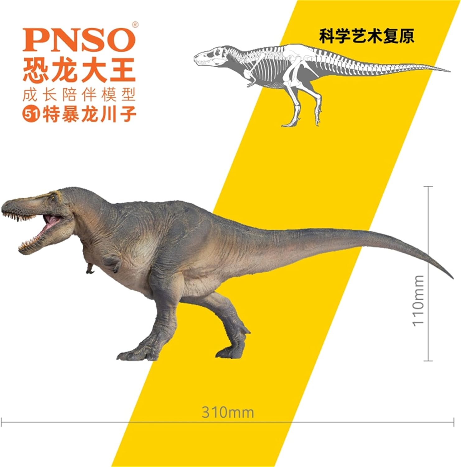 PNSO 成長シリーズ タルボサウルス 恐れさせるトカゲ ティラノサウルス科 肉食 恐竜 動物 リアル フィギュア PVC おもちゃ 科学 芸術 模型 恐竜好き 誕生日 プレゼント塗装済 31cm級