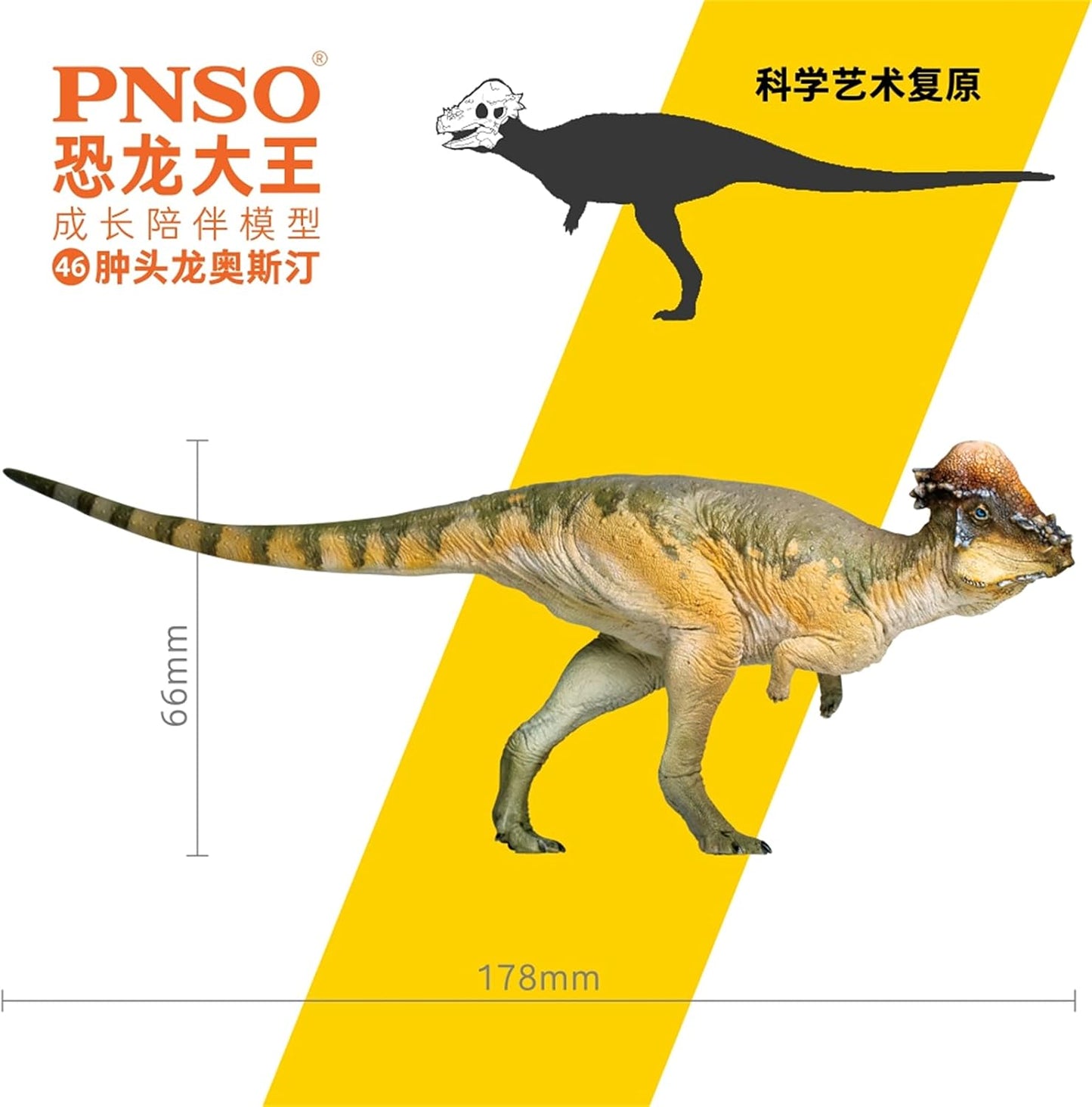 PNSO 成長シリーズ パキケファロサウルス 恐竜 動物 フィギュア プラモデル おもちゃ 模型 PVC 17.8cm級
