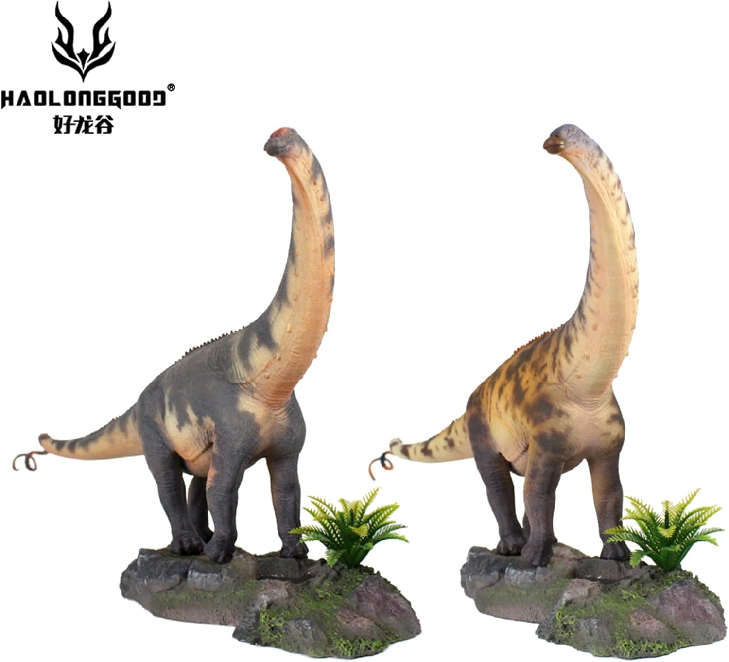 HAOLONGGOOD 1/35 サイズ ブロントサウルス 45.5cm級 PVC CE認証 塗装済 ジュラ紀 竜脚類 ディプロドクス科 草食系 恐竜 フィギュア リアル 模型 プラモデル おもちゃ 置物 (グレー)