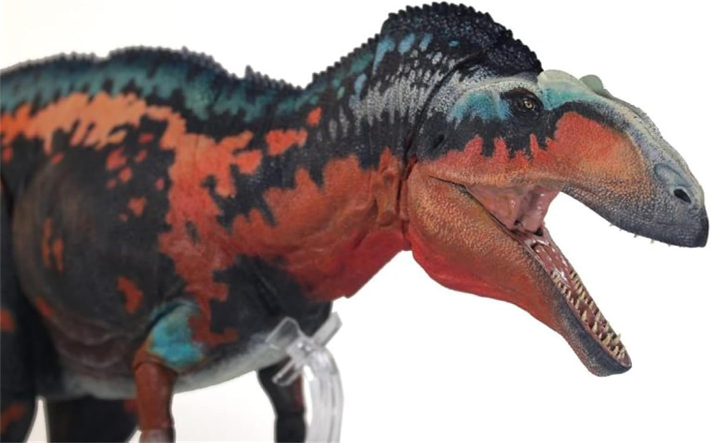Beasts of the Mesozoic/Cenozoic 中生代の獣 1/18 アクロカントサウルス 白亜紀 恐竜 フィギュア 67.3cm級 全身23箇所可動 カルカロドントサウルス科 PVC製 模型 プラモデル おもちゃ 自立 展示 模型 玩具 関節おもちゃ [並行輸入品]