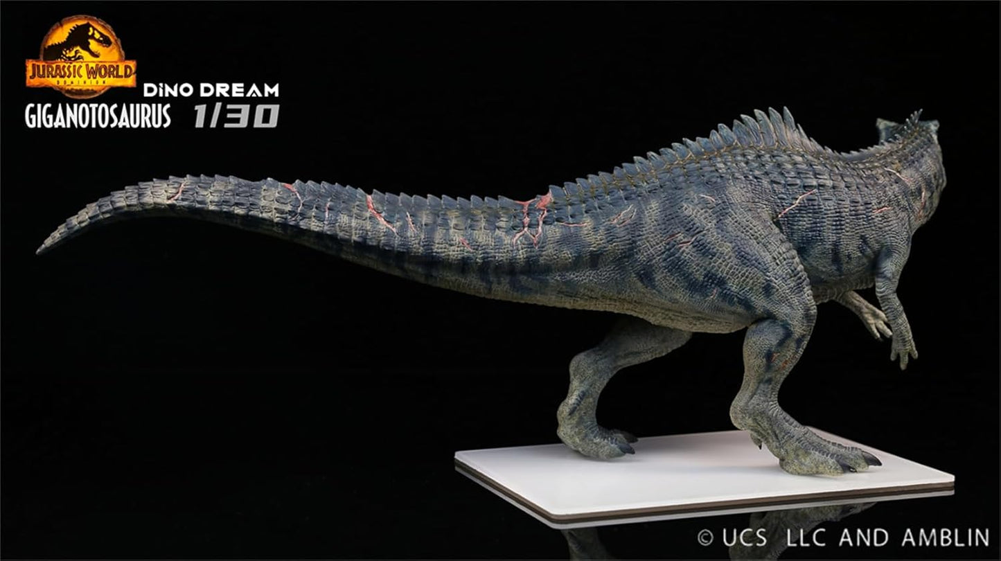 DINO DREAM 1/30 サイズ ギガノトサウルス 限定版 44.5cm級 The King of the Border カルカロドントサウルス科 PVC 樹脂 恐竜 大型 肉食 リアル フィギュア プラモデル 模型 プレゼント オリジナル 塗装済 完成品 置物