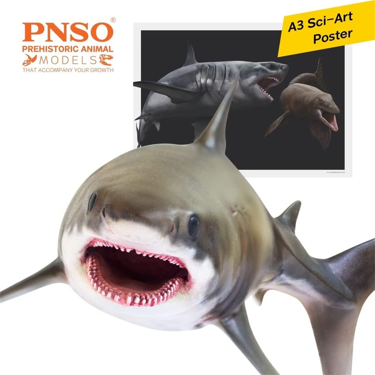 PNSO 成長シリーズ 54 クレトキシリナ サメ 海洋動物 フィギュア PVC おもちゃ 模型 20cm級