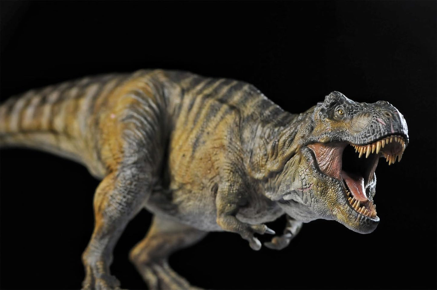DINO DREAM 2025 1/30 サイズ ティラノサウルス フィギュア 全身 40cm級 白亜紀 獣脚類 大きい 肉食 恐竜 台座付け リアル 大人のコレクション 樹脂 プラモデル 模型 塗装済 置物 [並行輸入品]