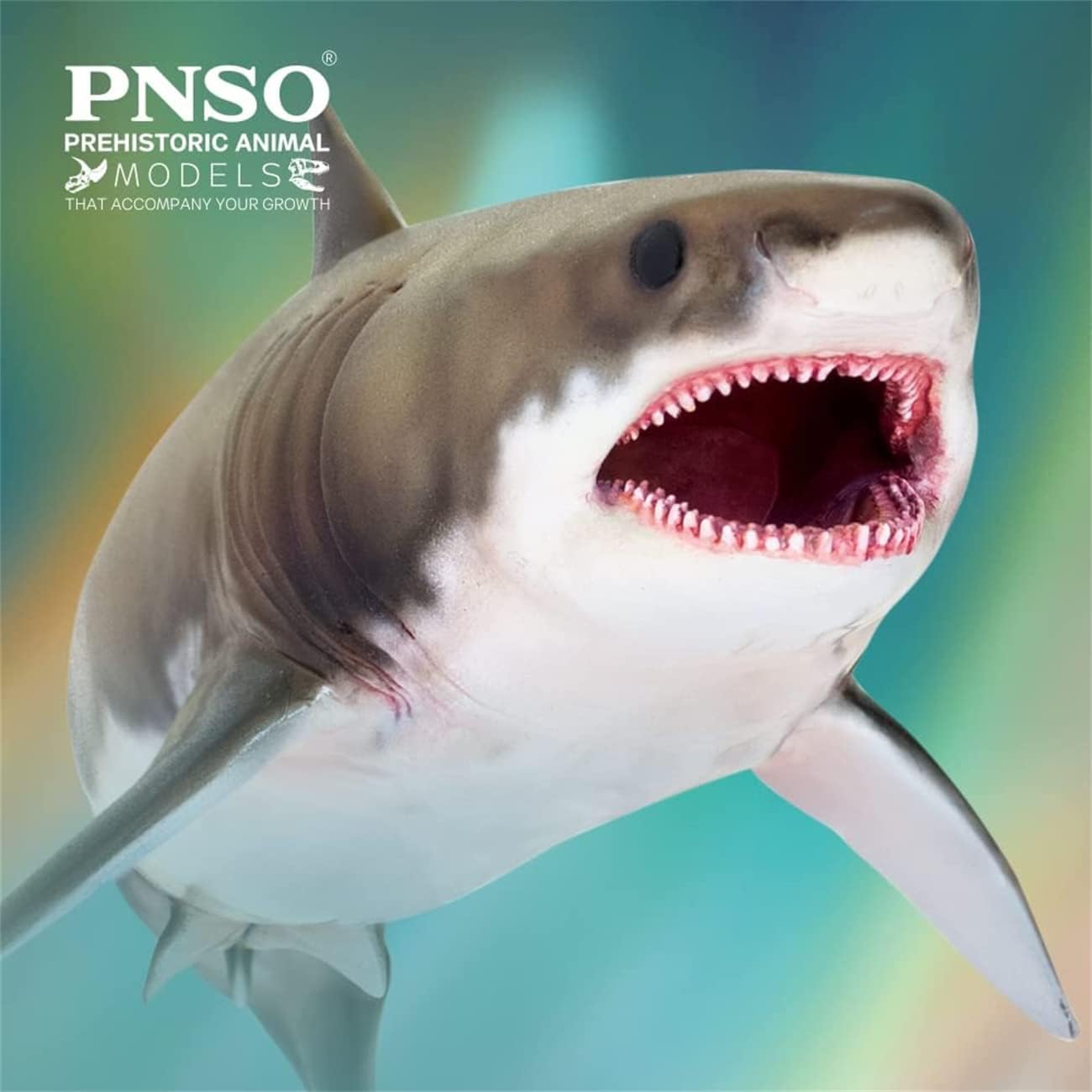 PNSO 成長シリーズ 54 クレトキシリナ サメ 海洋動物 フィギュア PVC おもちゃ 模型 20cm級
