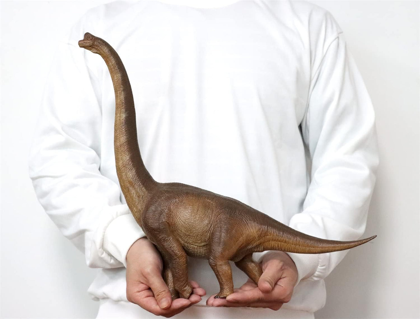 Nanmu 本心楠改 ブラキオサウルス 恐竜 模型 リアル フィギュア プラモデル 53cm級 (ブラウン)