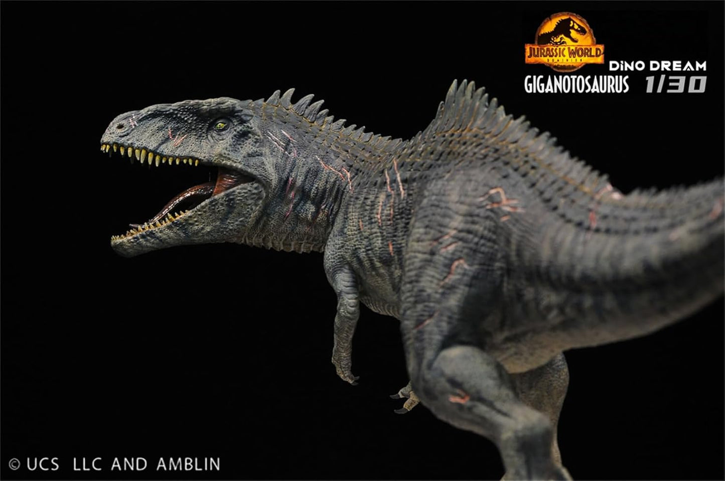 DINO DREAM 1/30 サイズ ギガノトサウルス 限定版 44.5cm級 The King of the Border カルカロドントサウルス科 PVC 樹脂 恐竜 大型 肉食 リアル フィギュア プラモデル 模型 プレゼント オリジナル 塗装済 完成品 置物