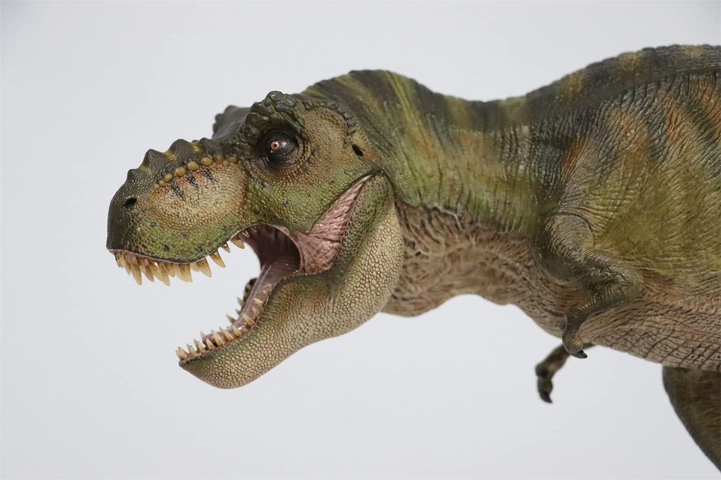 Nanmu 本心楠改 1/35 サイズ ティラノサウルス レックス 恐竜 リアル フィギュア PVC プラモデル おもちゃ 模型 43.5cm級 台座付き (永遠の王-標準版)