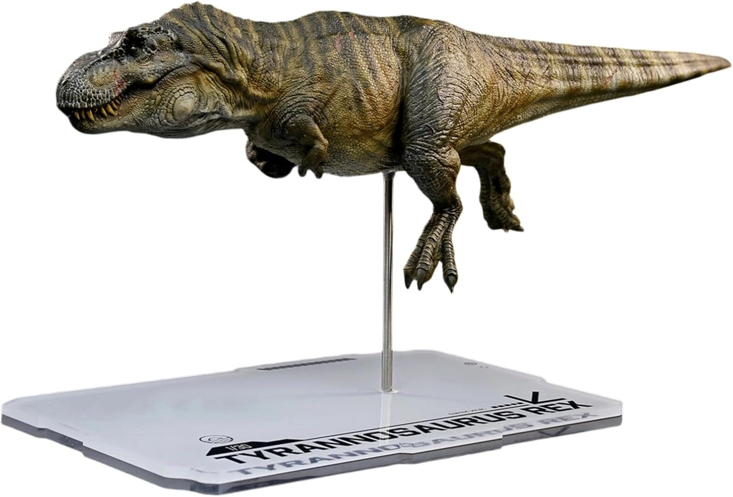DINO DREAM 1/30 サイズ ティラノサウルス 水泳ポーズ フィギュア 全身 40cm級 白亜紀 獣脚類 恐竜 台座付け リアル 樹脂 プラモデル 模型 塗装済 置物 [並行輸入品]