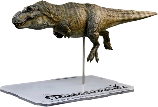 DINO DREAM 1/30 サイズ ティラノサウルス 水泳ポーズ フィギュア 全身 40cm級 白亜紀 獣脚類 恐竜 台座付け リアル 樹脂 プラモデル 模型 塗装済 置物 [並行輸入品]