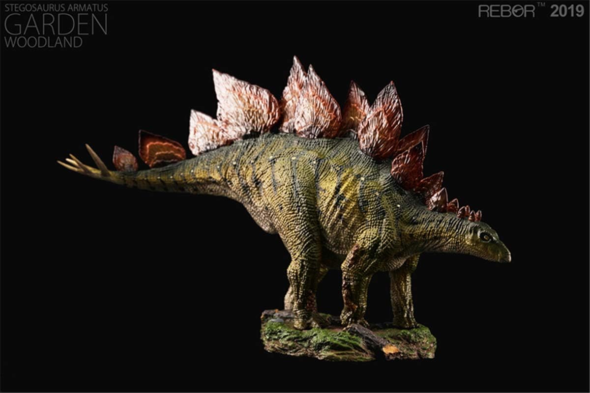 Rebor 2019 1/35 サイズ ステゴサウルス 台座付き ジュラシック 装甲 剣竜類 恐竜 リアル フィギュア PVC プラモデル 模型 大人のおもちゃ プレゼント プレミアム 28cm級 オリジナル インテリア 塗装済 置物 (森林 (Woodland))