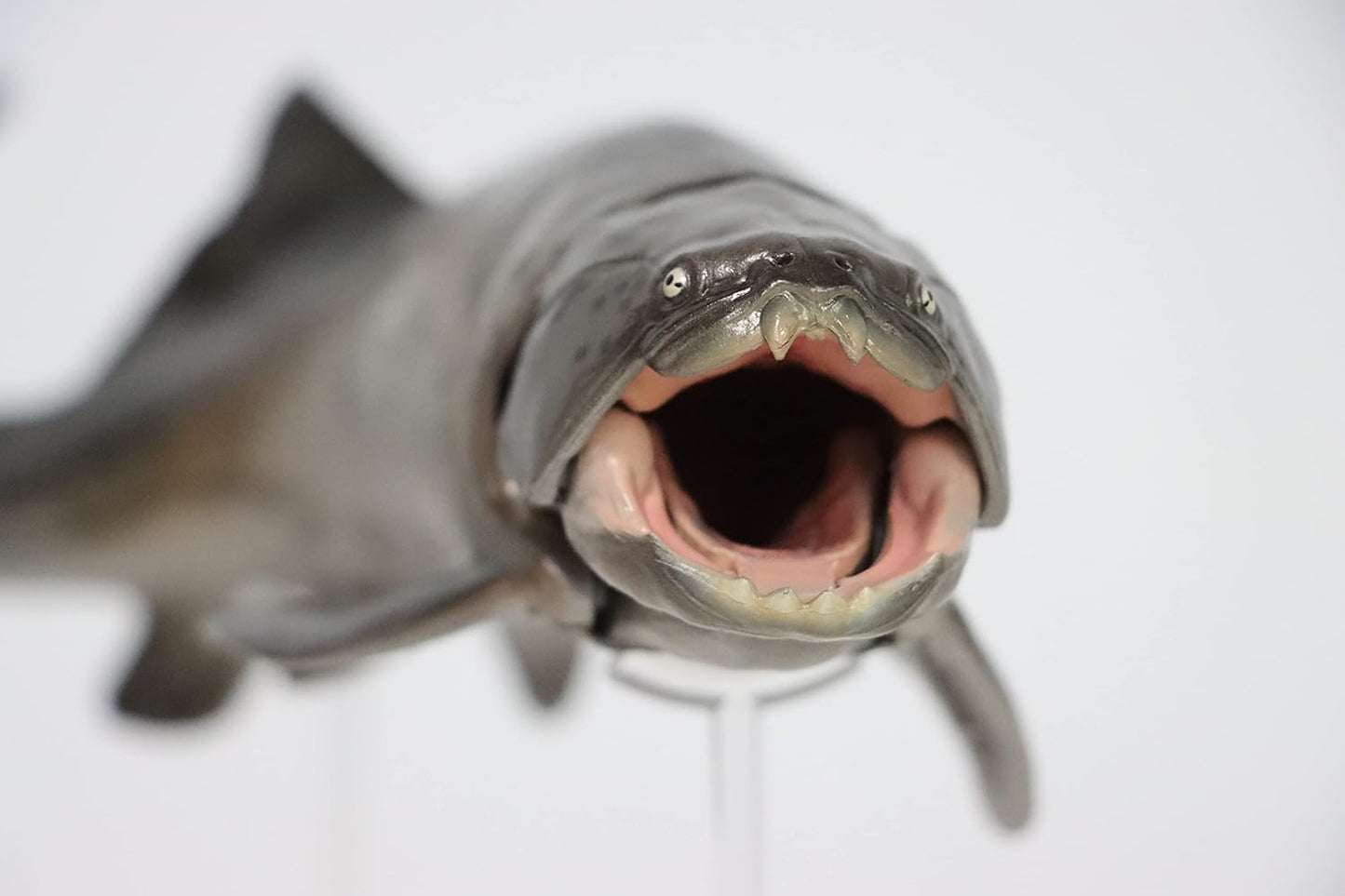 PNSO ダンクルオステウス ダンクレオステウス 古代魚 フィギュア プラモデル おもちゃ 模型 PVC 23cm級