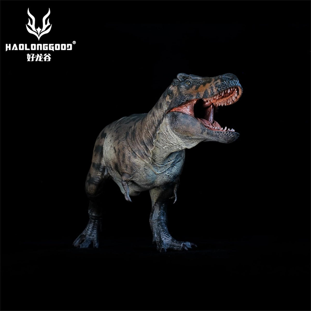 HAOLONGGOOD 1/35 ティラノサウルス 3.0 フィギュア 33.5cm級 白亜紀 ティラノサウルス科 肉食恐竜 PVC製 CE認証 塗装済 リアル、191A [並行輸入品]