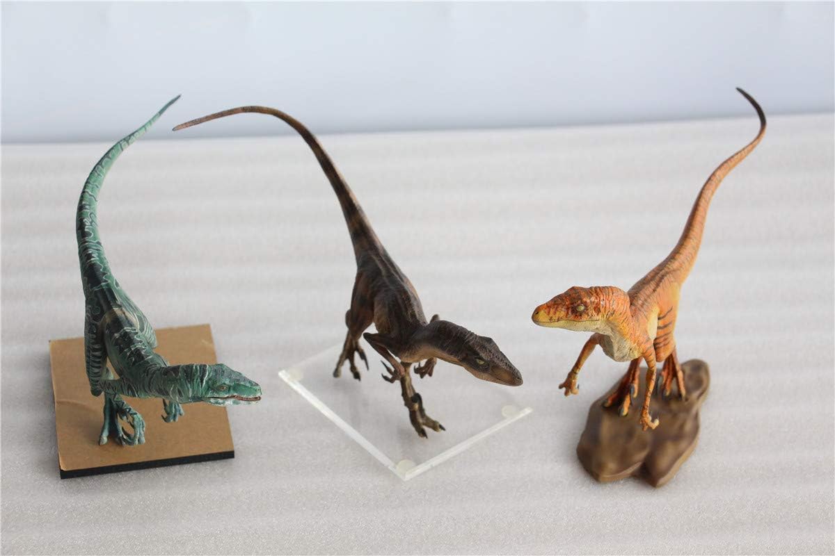 DINO DREAM 1/15 サイズ ヴェロキラプトル 恐竜 小型 肉食 リアル フィギュア PVC プラモデル 大人のおもちゃ 模型 プレゼント プレミアム 24cm級 オリジナル スタチュー 塗装済 完成品 置物 3色 台座付き (3点 セット)
