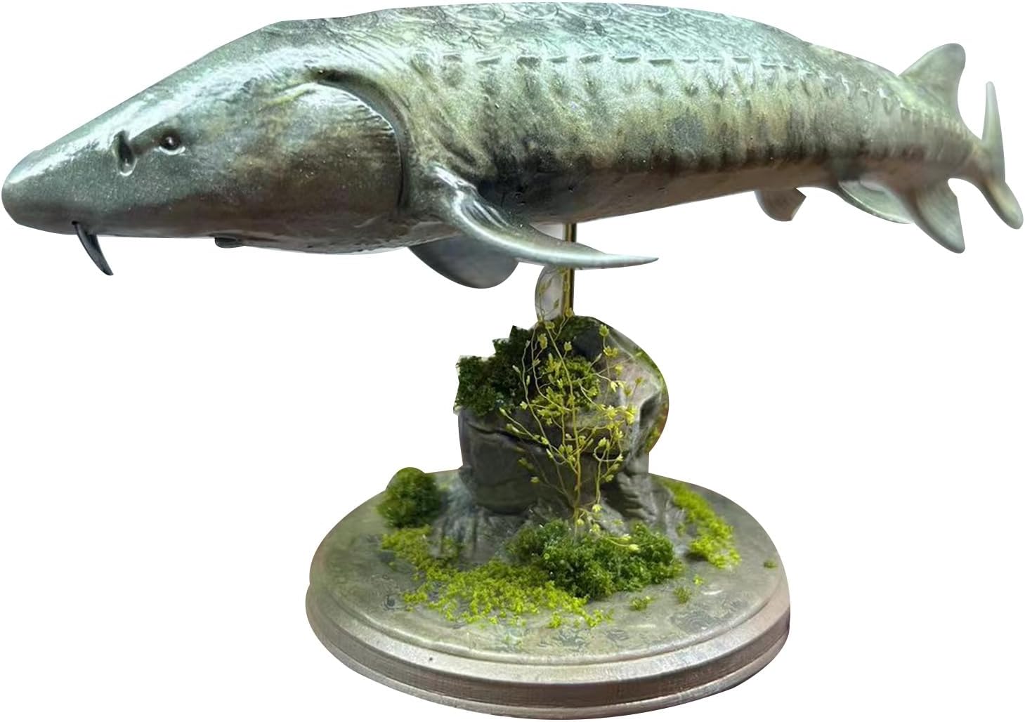 BACALYSO | ALEX STUDIO Sturgeon Figure, Sturgeon, 5.5 inches (14 cm), Endangered Species, Freshwater Fish, Resin, Painted, Realistic Base Included, Animal, Plastic Model, Toy, Figurine