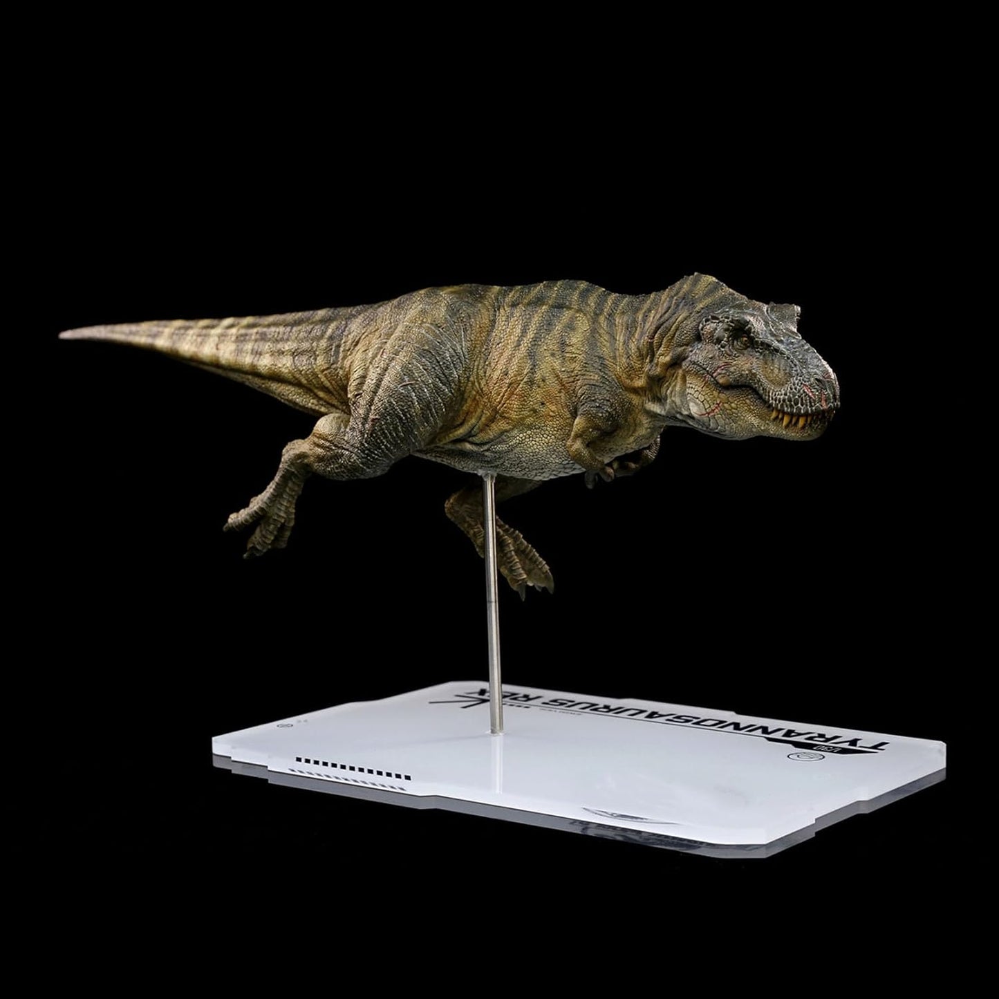 DINO DREAM 1/30 サイズ ティラノサウルス 水泳ポーズ フィギュア 全身 40cm級 白亜紀 獣脚類 恐竜 台座付け リアル 樹脂 プラモデル 模型 塗装済 置物 [並行輸入品]