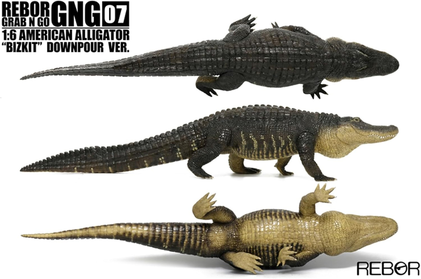 BACALYSO | REBOR 1/6 サイズ アメリカアリゲーター 動物 フィギュア ワニ アリゲーター属 ミシシッピワニ 62cm級 大口 恐ろしい 模型 情景 セット プラモデル 大人 おもちゃ オブジェ 置物 プレゼント 完成品 (ブラック)