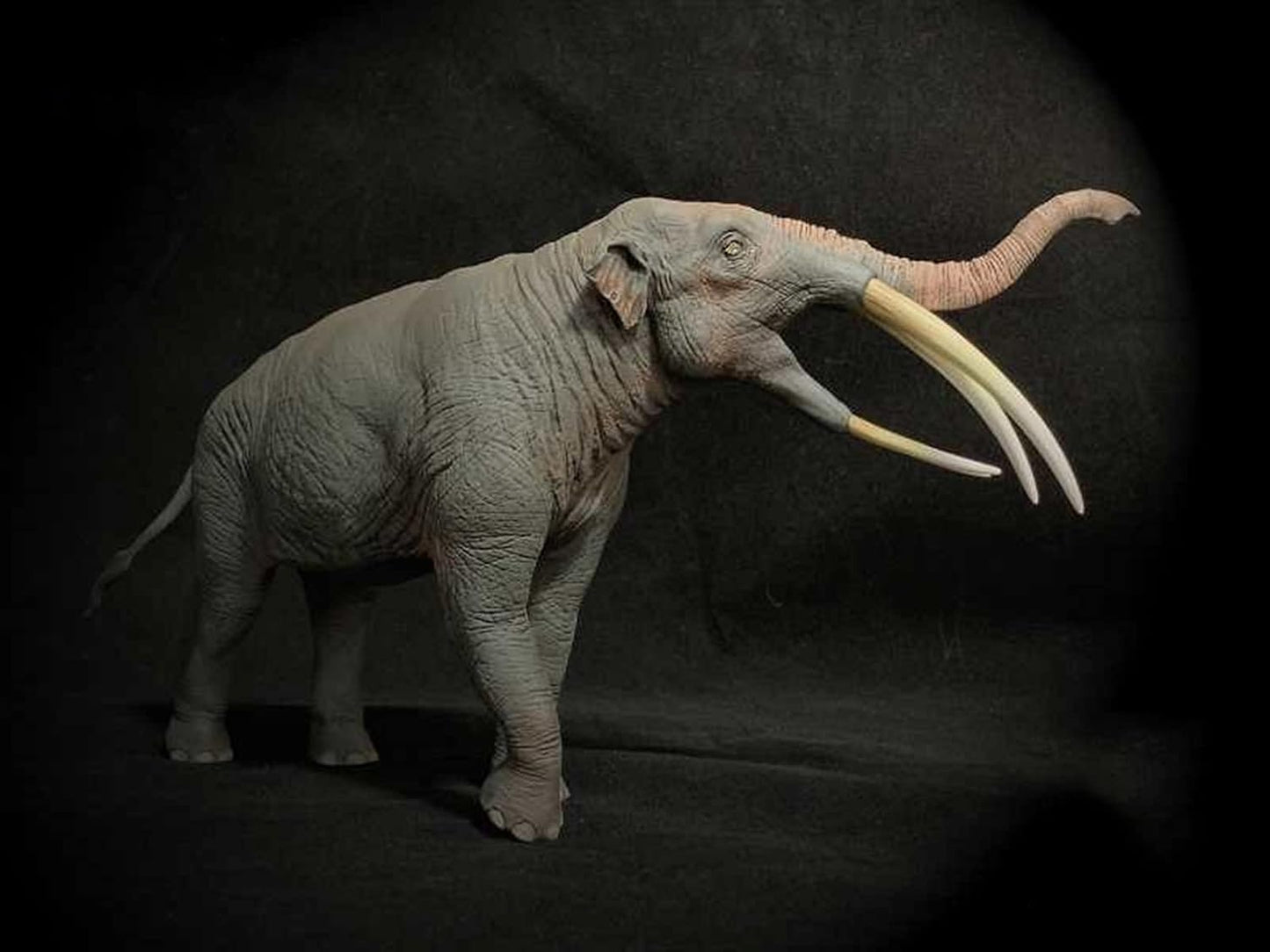 DINONE 1/20 サイズ ステゴテトラベロドン Stegotetrabelodon ゾウ科 絶滅した動物 ガレキ ガレージキット リアル フィギュア 樹脂 プラモデル 模型 プレゼント プレミアム 26cm級 オリジナル 未塗装 完成品 オブジェ 置物 (未塗装)