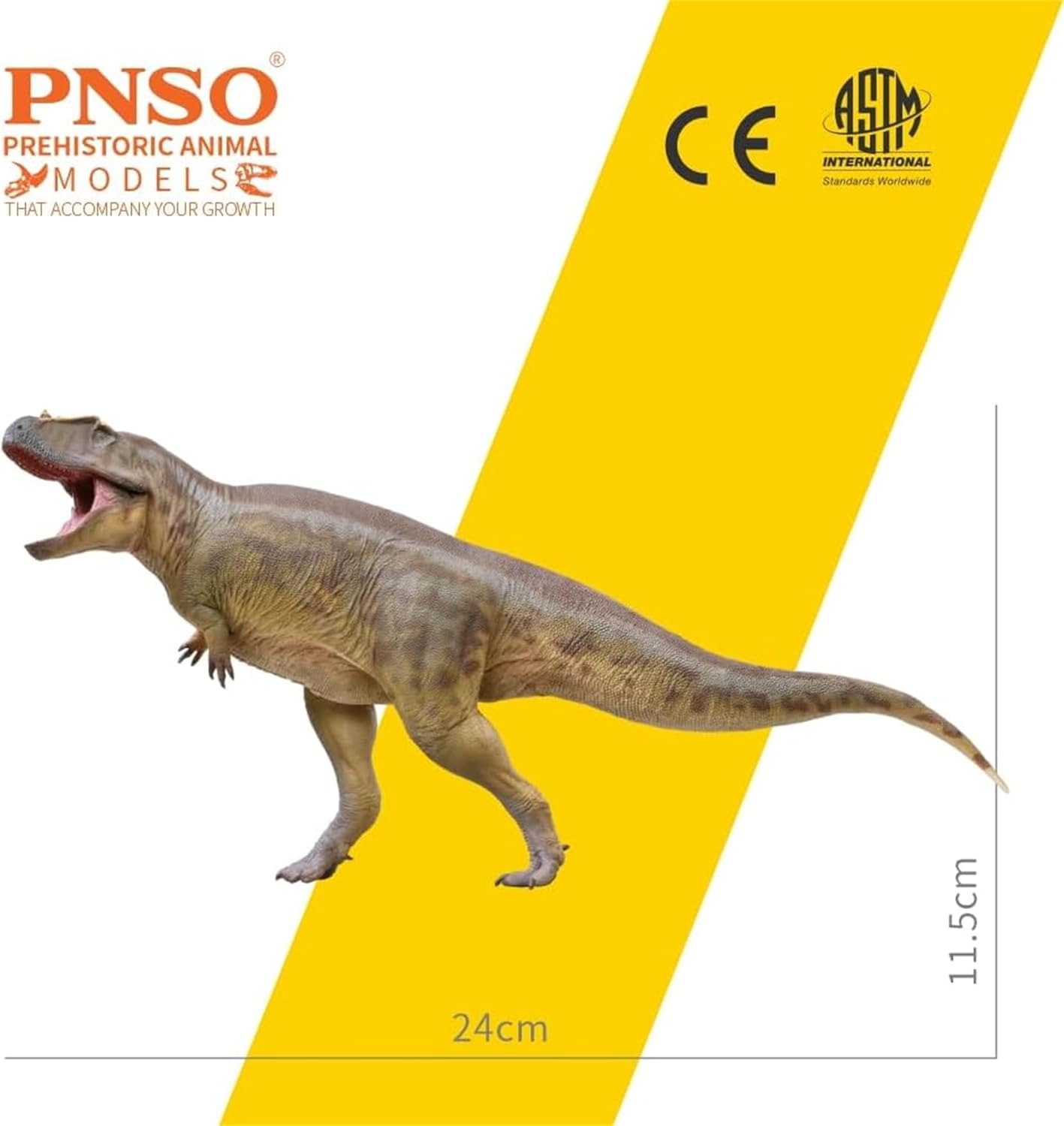 PNSO 成長シリーズ 95 タメリラプトル フィギュア 後期白亜紀 カルカロドントサウルス科 獣脚類 24cm級 恐竜 PVC おもちゃ 模型 恐竜好き