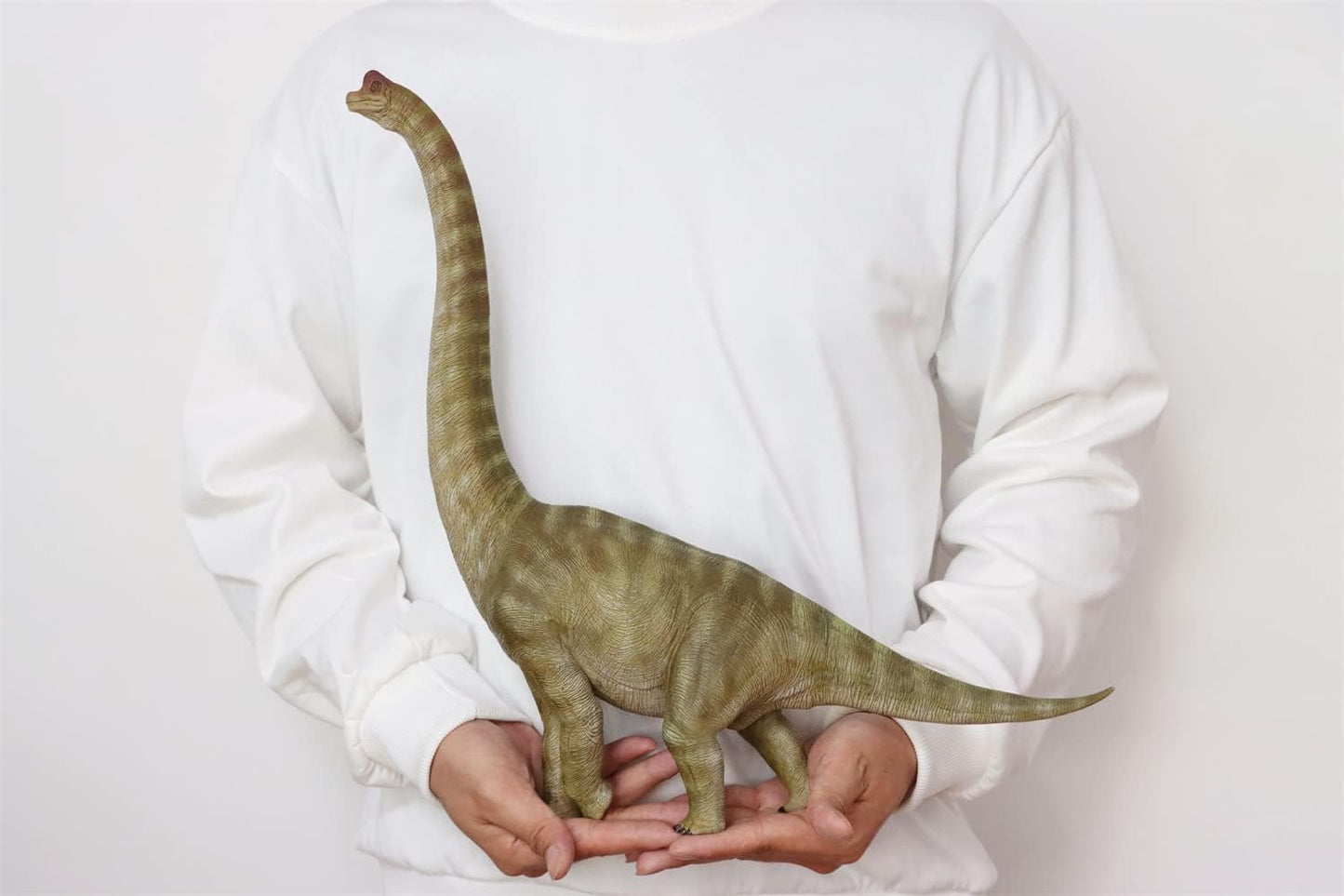 Nanmu 本心楠改 ブラキオサウルス 恐竜 模型 リアル フィギュア プラモデル 完成品 (異色)