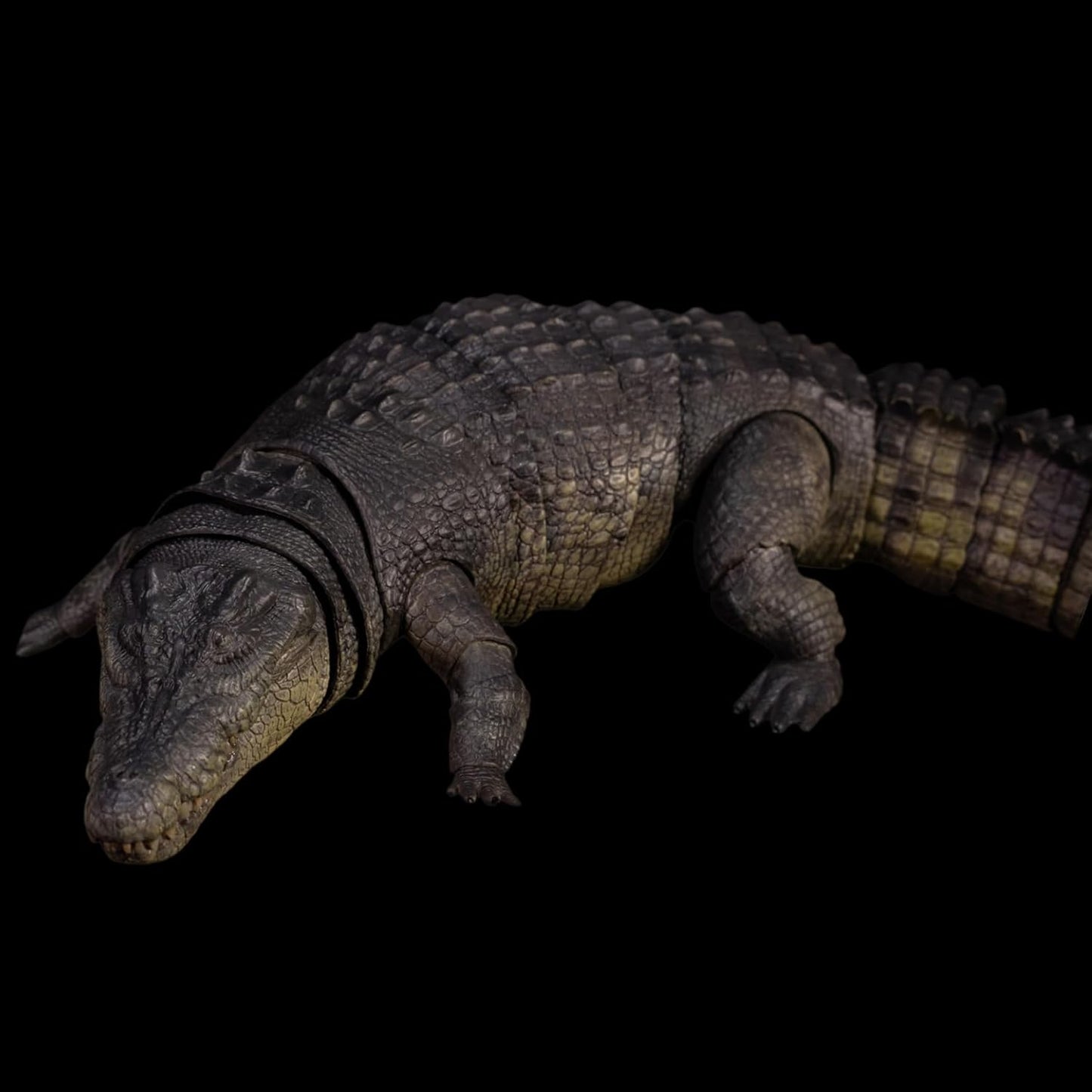 Nanmu 本心楠改 イリエワニ フィギュア ワニ目クロコダイル科 クロコダイル属 関節可動 可動式 35CM級 動物 リアル PVC+POM プラモデル おもちゃ 模型 置物 完成品 情景セット (170004 グリーン) [並行輸入品]