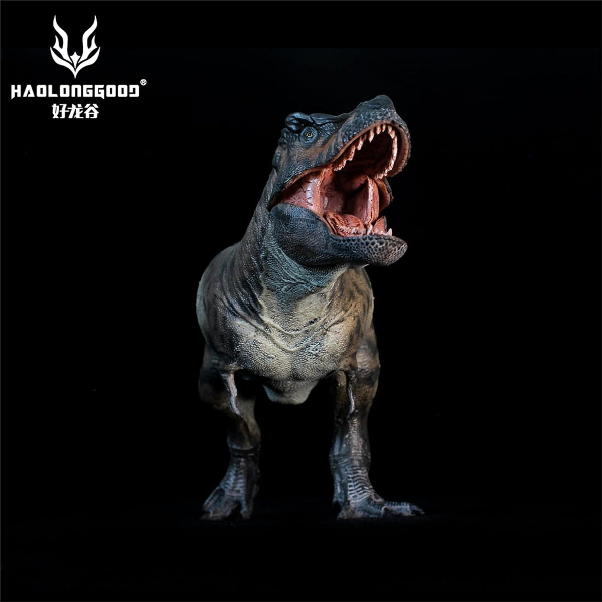 HAOLONGGOOD 1/35 ティラノサウルス 3.0 フィギュア 33.5cm級 白亜紀 ティラノサウルス科 肉食恐竜 PVC製 CE認証 塗装済 リアル、191A [並行輸入品]
