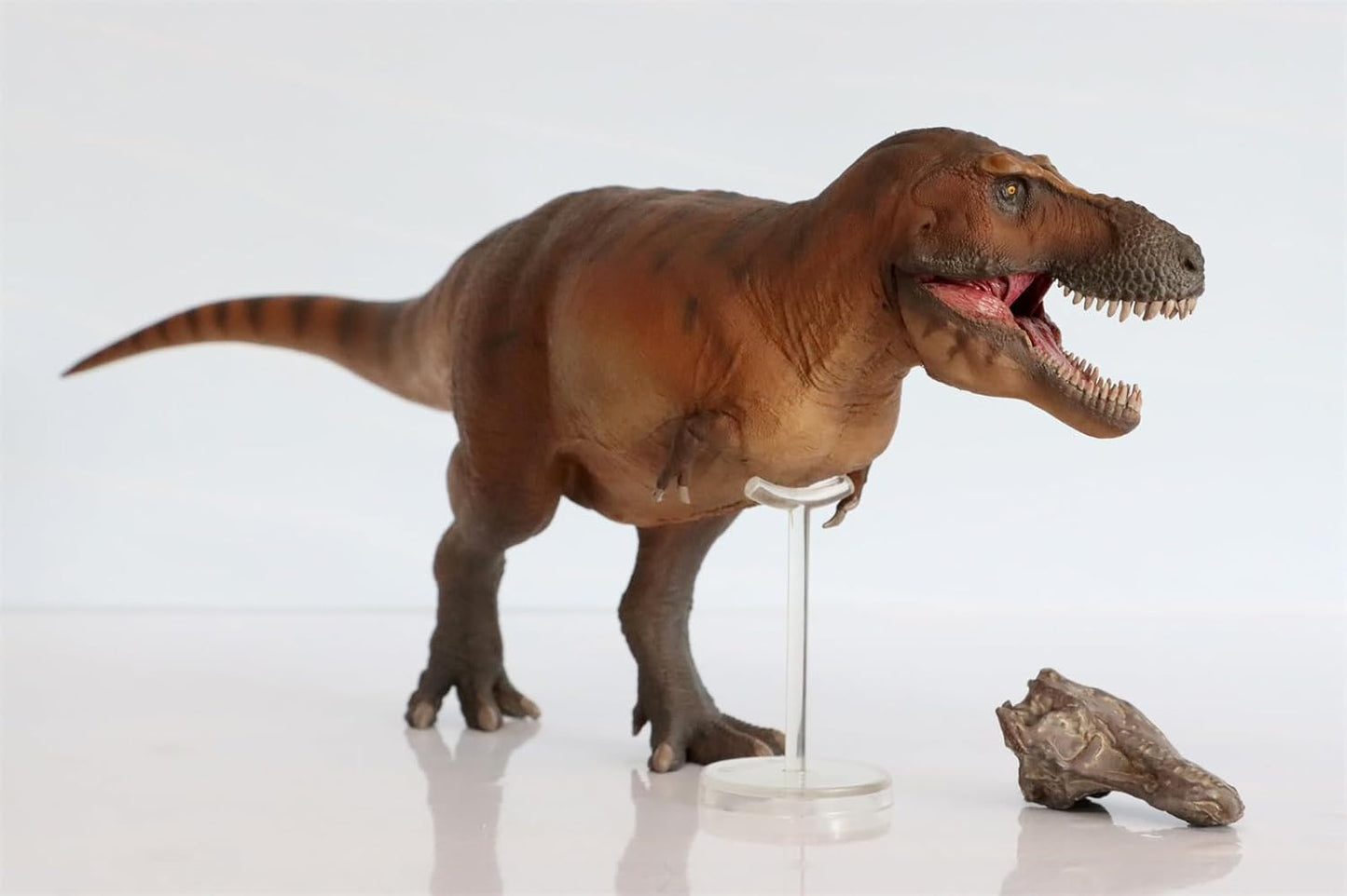 PNSO 恐竜博物館 1/35 サイズ ティラノサウルス T-REX フィギュア 35cm級 頭蓋骨付属 恐竜 PVC おもちゃ 模型