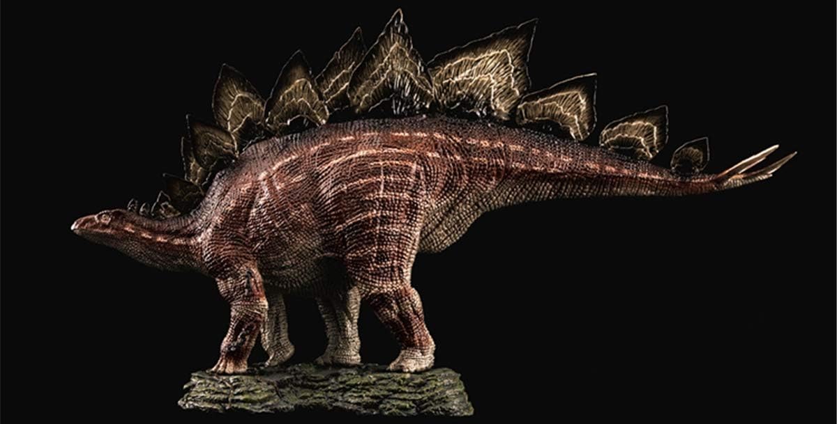 Rebor 2019 1/35 サイズ ステゴサウルス 台座付き ジュラシック 装甲 剣竜類 恐竜 リアル フィギュア PVC プラモデル 模型 大人のおもちゃ プレゼント プレミアム 28cm級 オリジナル インテリア 塗装済 置物 (山岳 (Mountain))