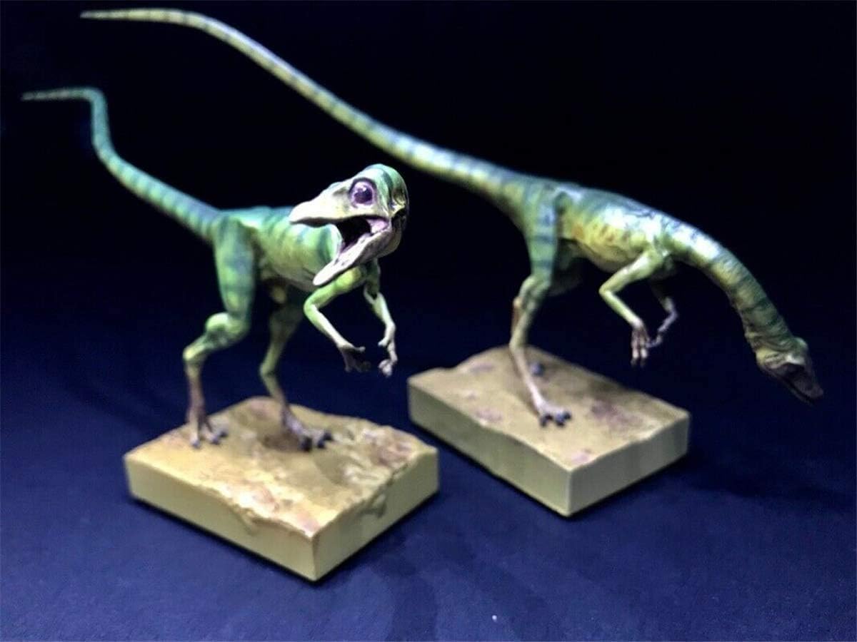 Dino Dream 1/5 サイズ 2点セット オスのコンプソグナトゥス 美顎龍 ジュラ紀 世界最小級 小型 肉食 恐竜 ジュラシック 恐竜 リアル フィギュア PVC モデル 模型 大人のおもちゃ プレゼント 15cm級 塗装済 台座付き