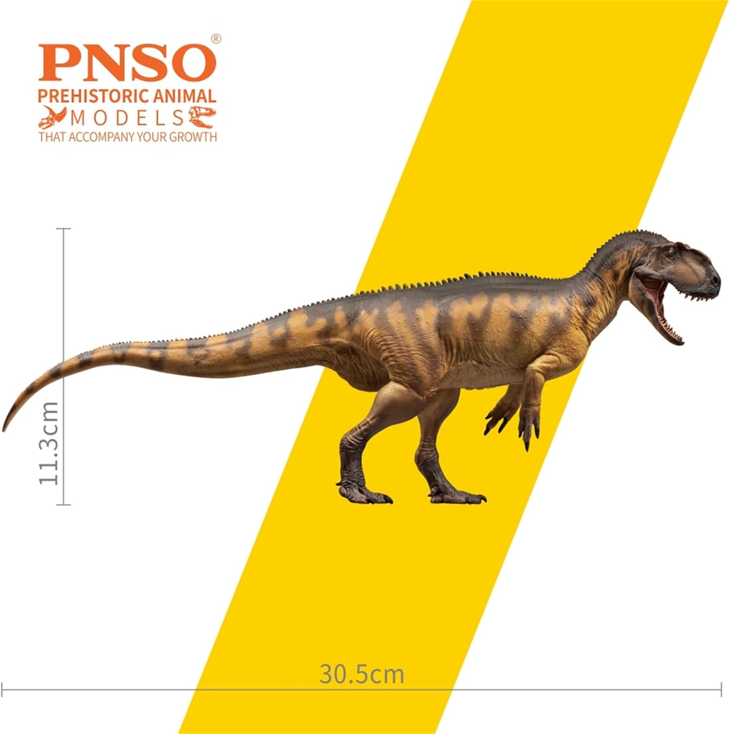 PNSO 成長シリーズ 76 ヤンチュアノサウルス フィギュア 32cm級 口開閉可能 恐竜 PVC おもちゃ 模型