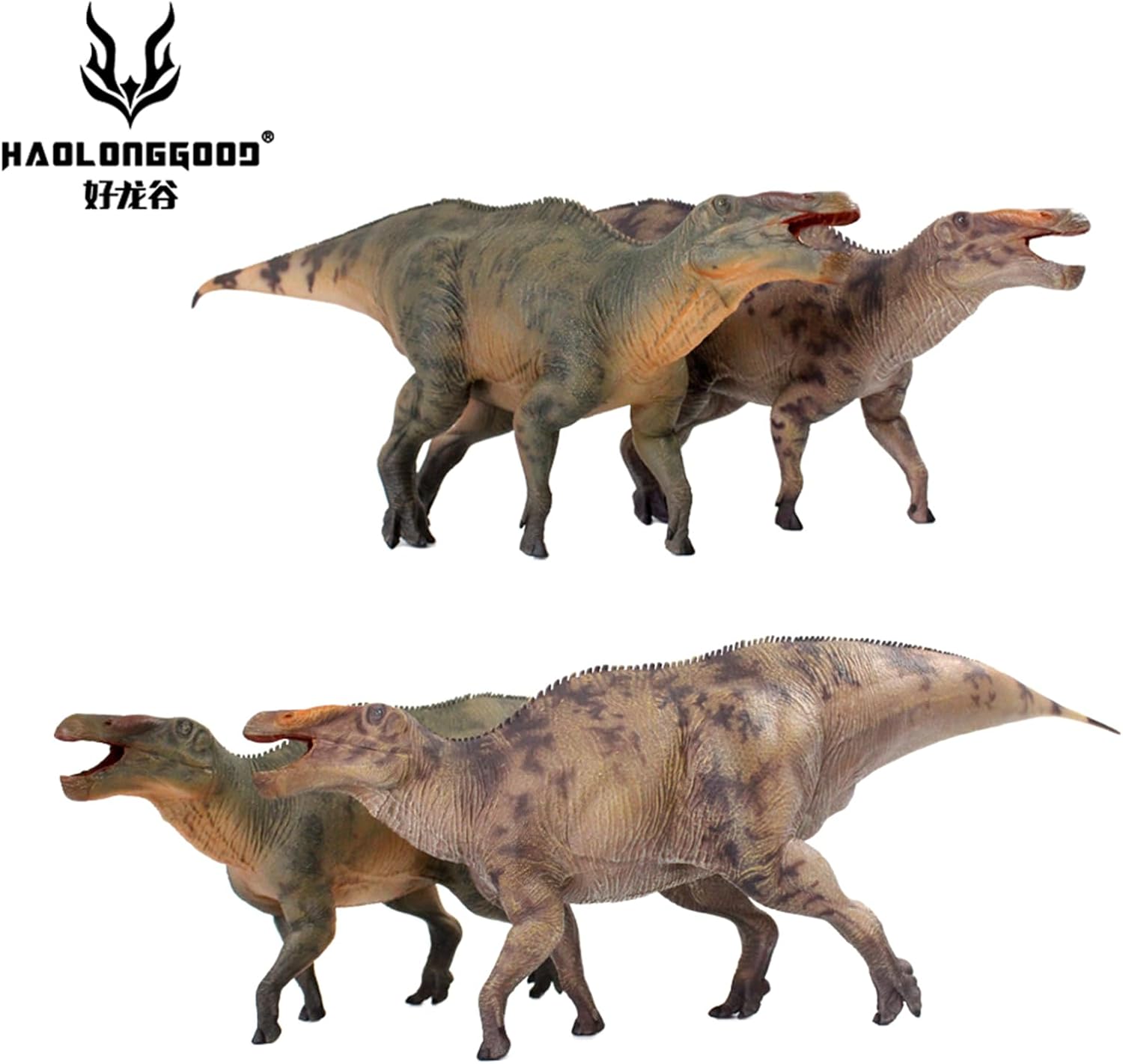 HAOLONGGOOD 1/35 サイズ シャントゥンゴサウルス 39cm級 PVC CE認証 塗装済 白亜紀 ハドロサウルス科 草食 恐竜 フィギュア リアル 模型 プラモデル おもちゃ (HLG177BR ブラウン)
