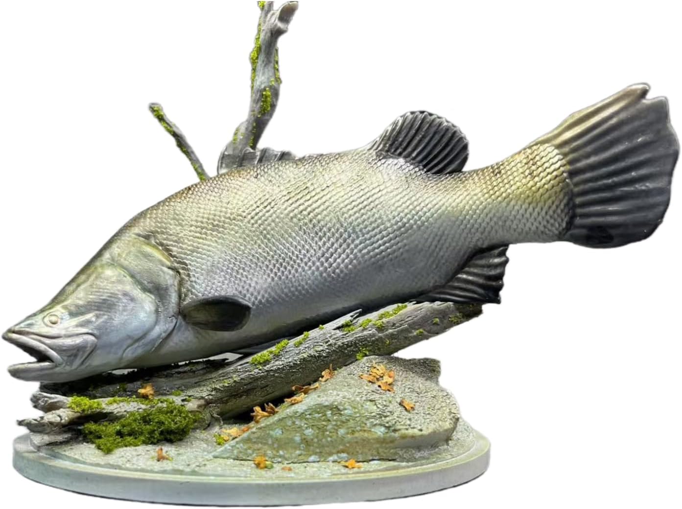 BACALYSO | ALEX STUDIO Barramundi Figure, 5.9 inches (15 cm), Grade, Alex, Fish, Large Carnivore, Animal Base, Resin, Painted, Cute, Realistic Animal, Plastic Model, Toy, Figurine