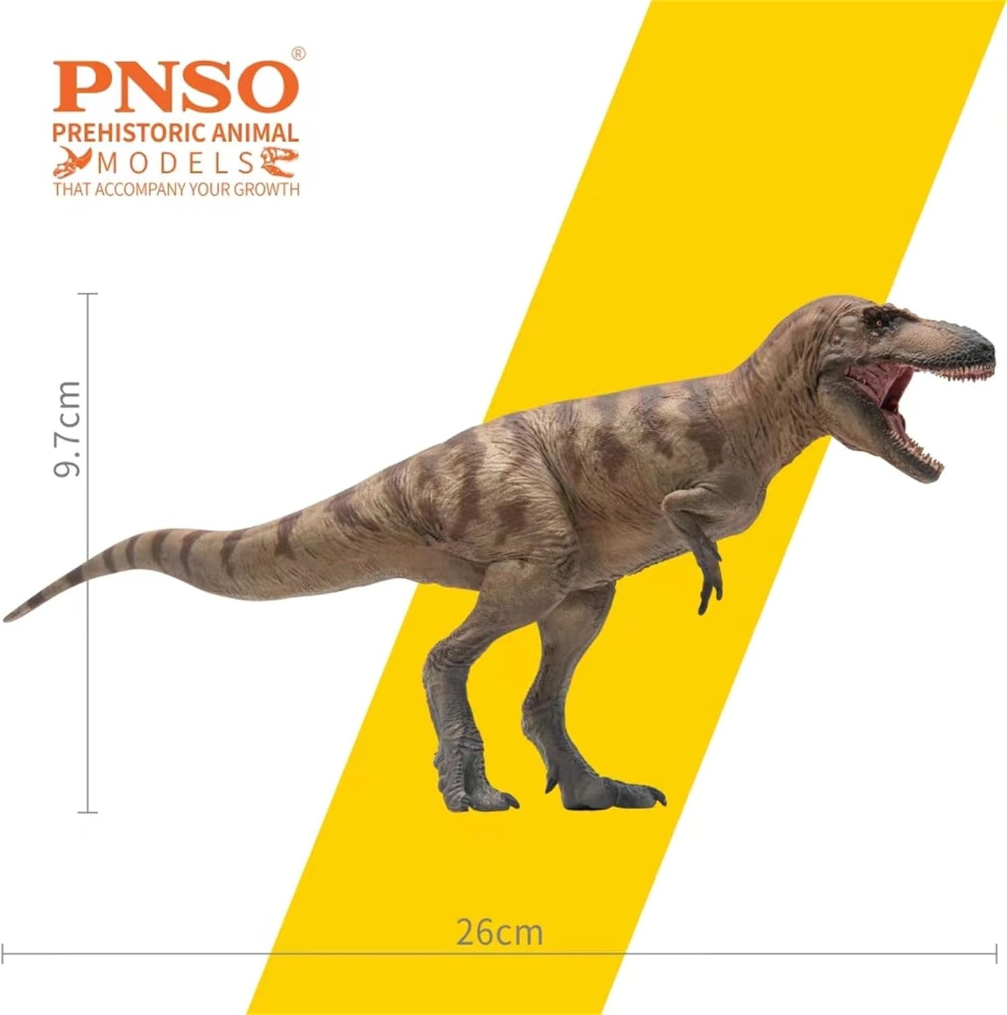 PNSO 成長シリーズ 73 ダスプレトサウルス フィギュア 26cm級 恐竜 PVC おもちゃ 模型