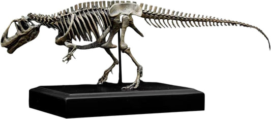 VWUVWU 1/35 スケール ギガノトサウルス フィギュア 38CM級 骨格 化石 白亜紀 獣脚類 恐竜 リアル カルカロドントサウルス科 海洋 台座 樹脂 プラモデル コレクション 模型 完成品 [並行輸入品]