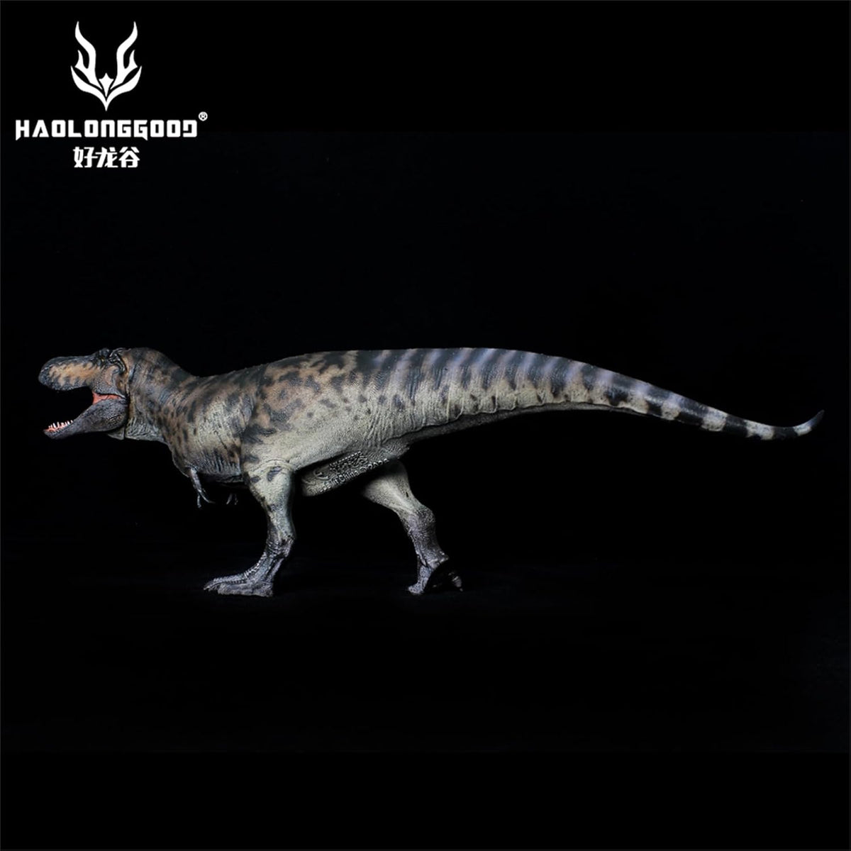 HAOLONGGOOD 1/35 ティラノサウルス 3.0 フィギュア 33.5cm級 白亜紀 ティラノサウルス科 肉食恐竜 PVC製 CE認証 塗装済 リアル、191A [並行輸入品]