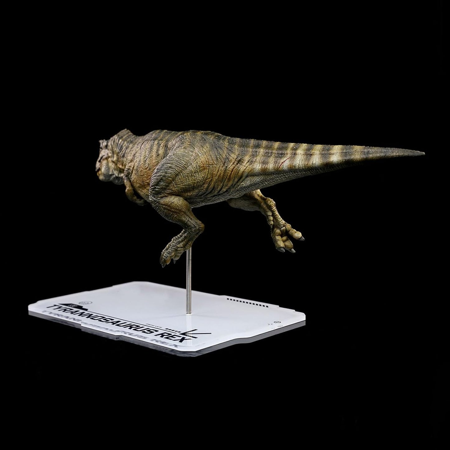 DINO DREAM 1/30 サイズ ティラノサウルス 水泳ポーズ フィギュア 全身 40cm級 白亜紀 獣脚類 恐竜 台座付け リアル 樹脂 プラモデル 模型 塗装済 置物 [並行輸入品]