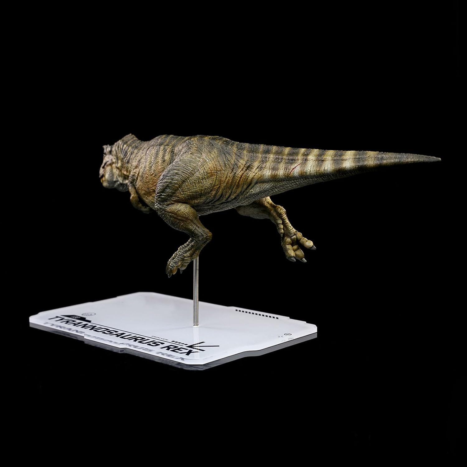 DINO DREAM 1/30 サイズ ティラノサウルス 水泳ポーズ フィギュア 全身 40cm級 白亜紀 獣脚類 恐竜 台座付け リアル 樹脂 プラモデル 模型 塗装済 置物 [並行輸入品]