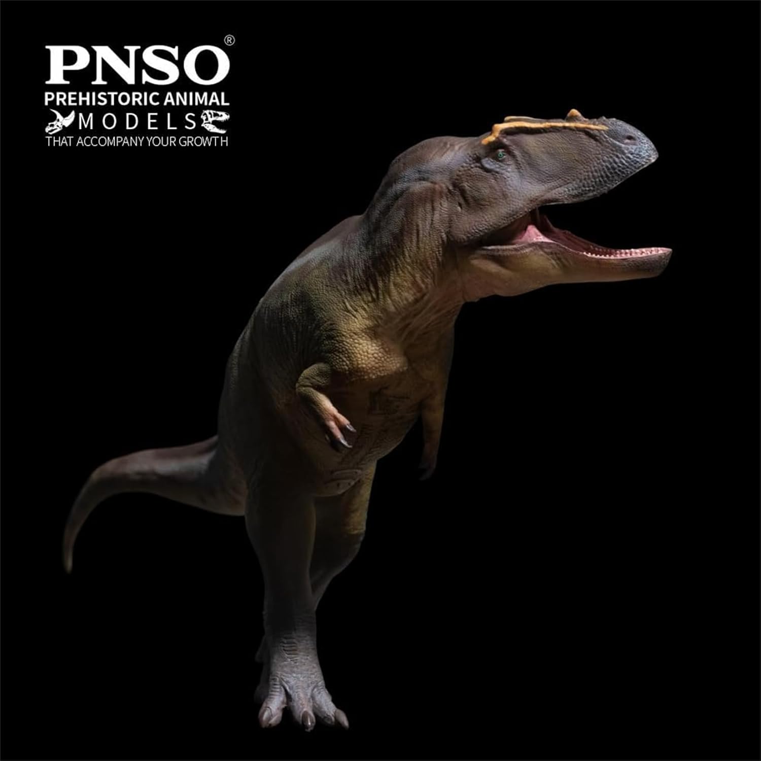 PNSO 成長シリーズ 95 タメリラプトル フィギュア 後期白亜紀 カルカロ