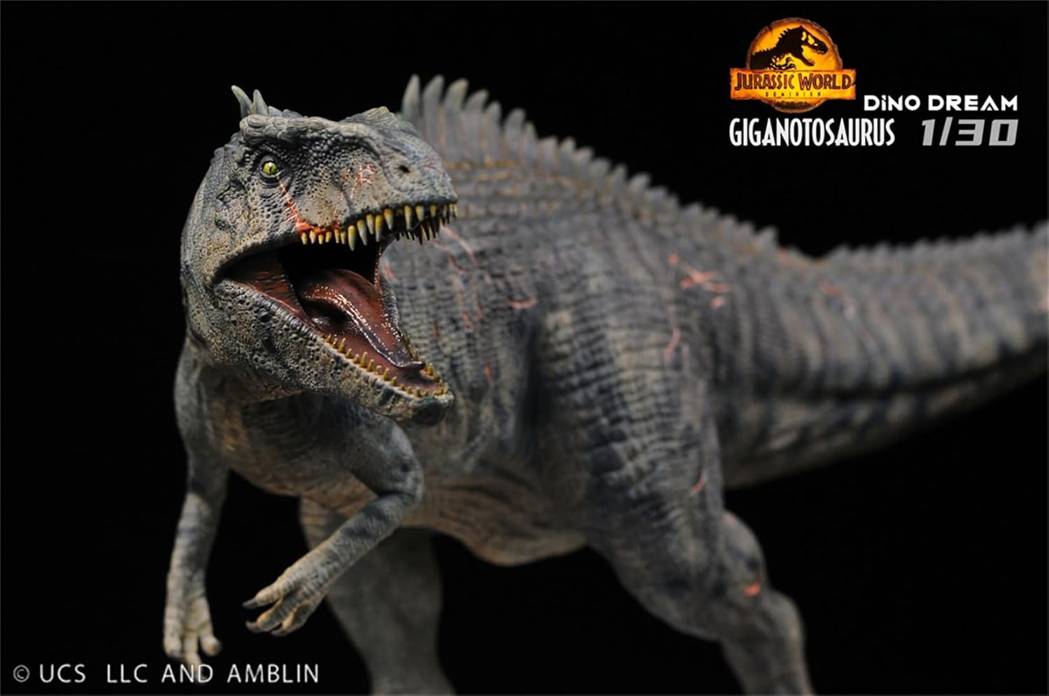 DINO DREAM 1/30 サイズ ギガノトサウルス 限定版 44.5cm級 The King of the Border カルカロドントサウルス科 PVC 樹脂 恐竜 大型 肉食 リアル フィギュア プラモデル 模型 プレゼント オリジナル 塗装済 完成品 置物